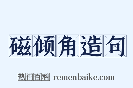 磁倾角造句是什么意思的图片